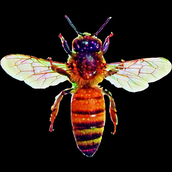 Meet your Posher, Sweets★To★The★Sweet - Picture 9 of 9